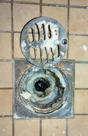 https://blockeddrainshuntingdale.com.au/uploads/2025/07/blocked-shower-drains-86331.jpg