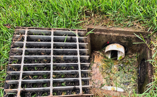 https://blockeddrainshuntingdale.com.au/uploads/2025/07/hero-blocked-sewers-40191.jpg